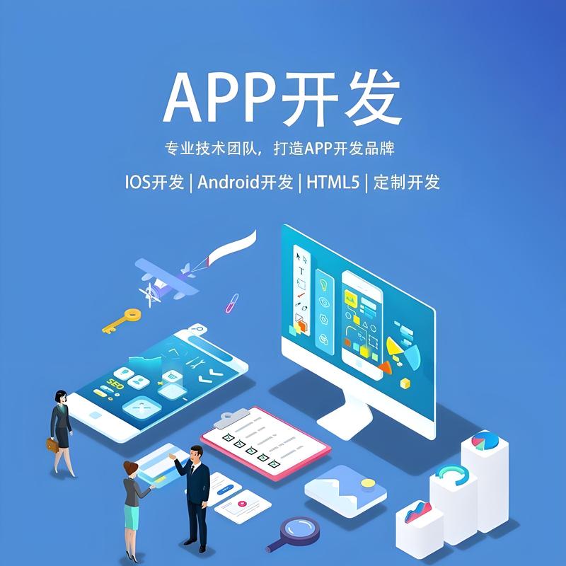 系统开发
